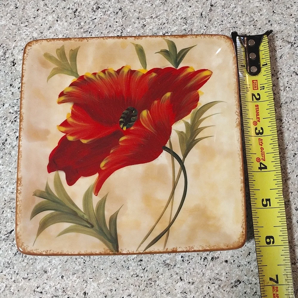 5-Piece Pier 1 Hand Painted Poppies Eartheneware Square Salad Appetizer Plates